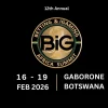 BiG Africa Summit 2026